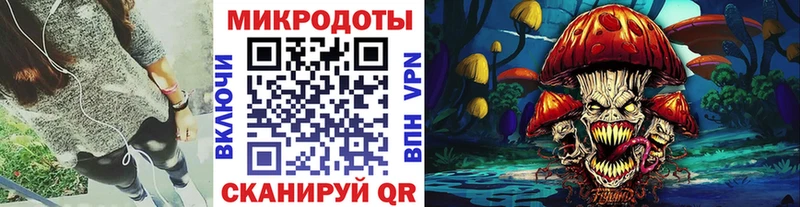 наркотики  Краснодар  Галлюциногенные грибы Psilocybine cubensis 